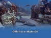 11-offshore-habitat