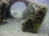 Taylor Reef, St. Augustine, reef structure